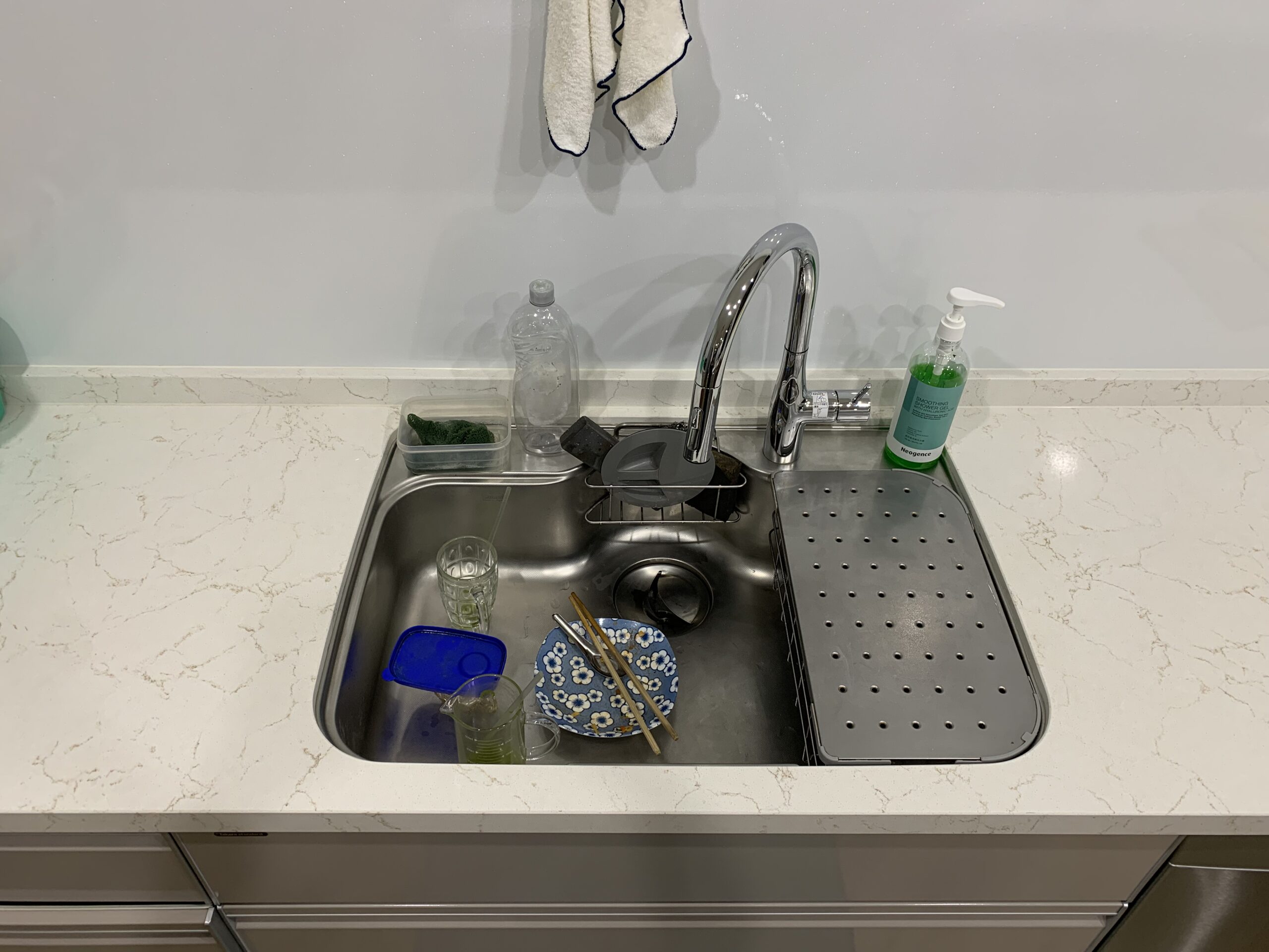 chau-rua-shigeru-gb-dk-fs-ne